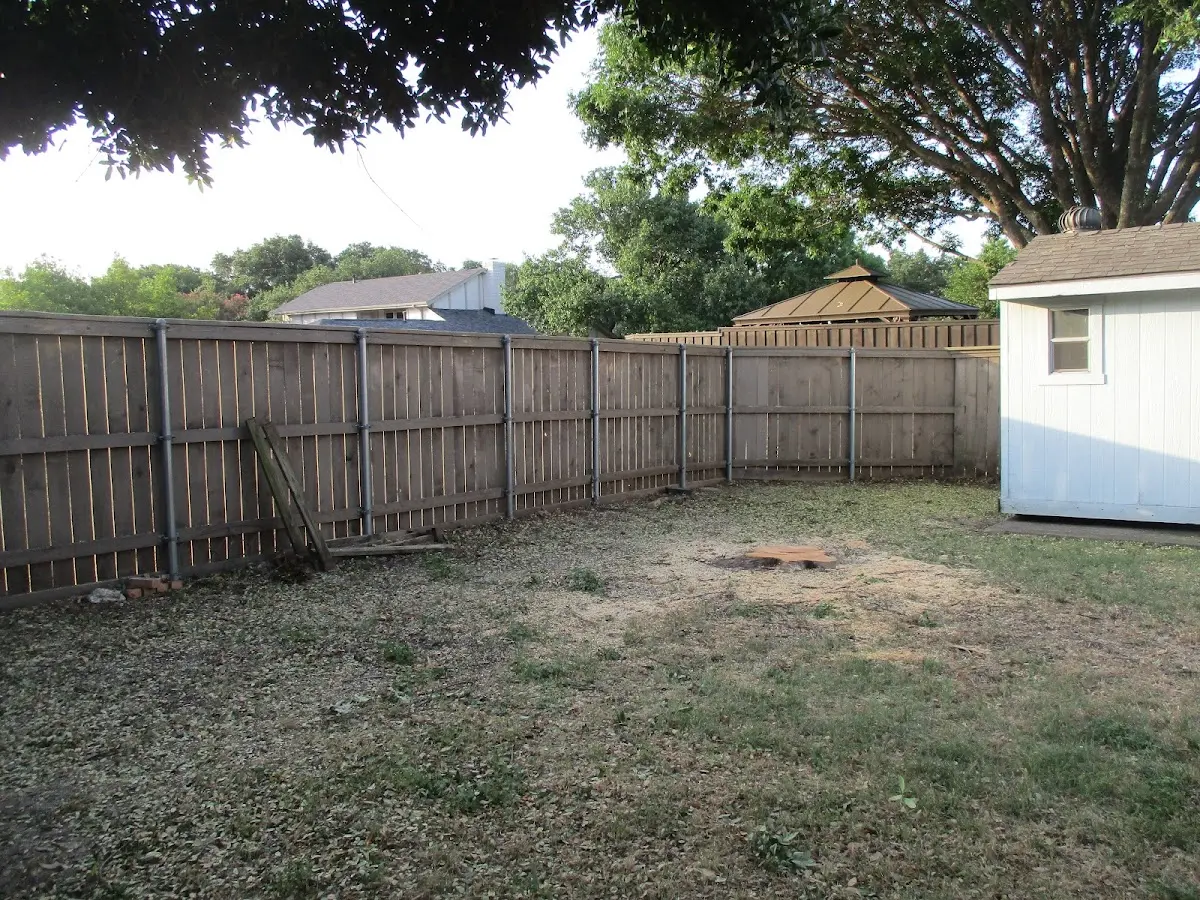 Cleared yard after professional tree removal in Needham Heights